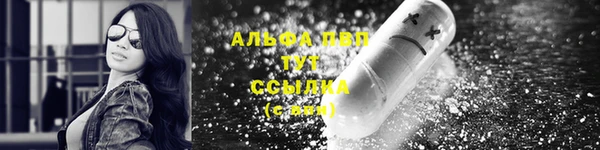 спиды Данков