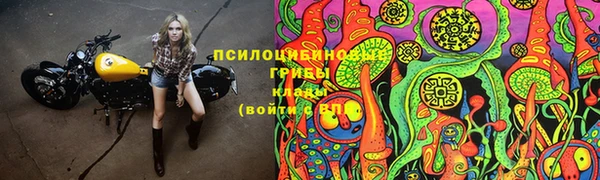 марки lsd Балабаново