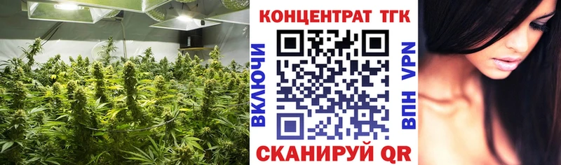 ТГК THC oil  Козьмодемьянск 